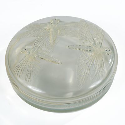 une boîte en verre transparent ornée d'un motif de libellule