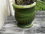 a small plant in a green pot on a wooden deck
