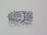 a drawing of a woman sitting on a tree branch