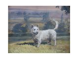 an oil painting of a white dog standing in a field