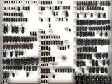 a lot of beetles that are on display on the wall