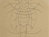 an image of a drawing of a woman ' s face with lines in the shape of a heart