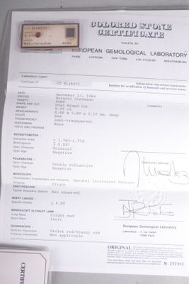 une feuille de papier sur laquelle figure la photo d'une personne