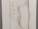 une image représentant un tableau représentant un arbre, dans un cadre blanc