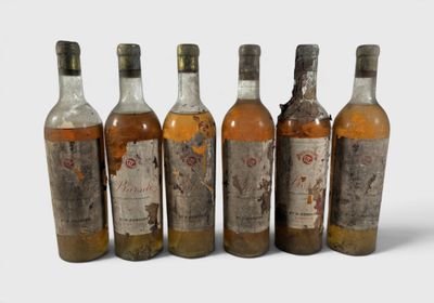six bouteilles de vin posées les unes à côté des autres sur une surface blanche
