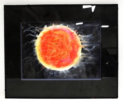 a picture of a picture of a fruit in a glass frame