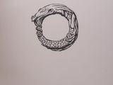an open book with a drawing of a snake on it ' s cover