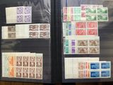 a lot of different stamps on display in a case