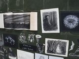 many different pictures on the wall of a room