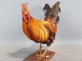 une statue représentant un coq posé sur un socle en bois