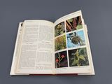 a book with pictures of plants and flowers on it