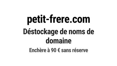 Nom de domaine petit-frere.com.