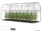 un gros plan d'une serre dans laquelle poussent des tomates