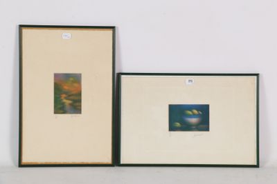 deux tableaux encadrés sur le mur d'une pièce