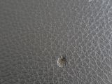 an image of a close up view of the surface of a table
