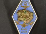a close up of a badge with a lion on it