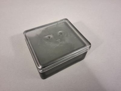 un gros plan d'une boîte en plastique sur laquelle est représenté un visage de chat