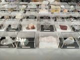 a lot of different kinds of rocks in a display case