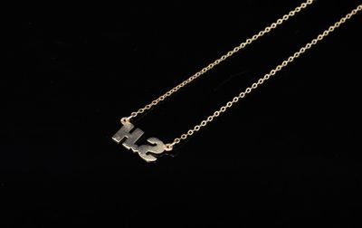 un gros plan sur un collier en or orné de la lettre « h »