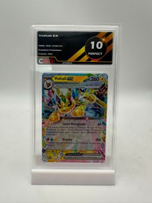une carte Pokémon dans un étui en plastique transparent posé sur une surface blanche