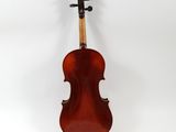 a violin on a white background