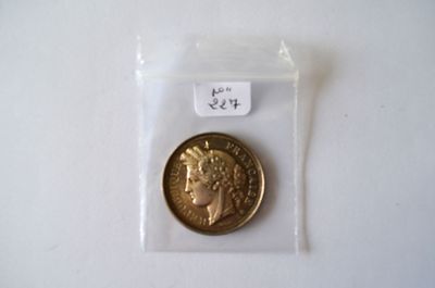 une pièce d'or dans un sachet en plastique posé sur une surface blanche