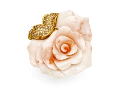 une image représentant une rose blanche sur laquelle est posé un papillon