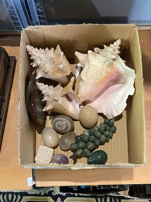 une boîte remplie de coquillages et d'autres objets posée sur une table
