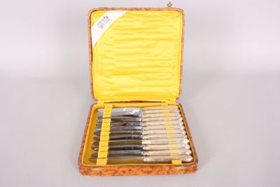 six knives in a yellow case on a white surface