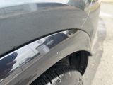 a close up of a car ' s bumper with a dog sticking out of it ' s side