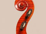 a close up of the back of a violin