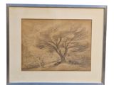 un dessin représentant un arbre dans un champ, avec une personne qui passe à côté