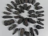 a lot of rocks arranged in a circle on a white surface