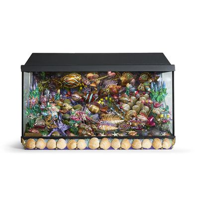 an image of a fish tank filled with lots of different types of fish