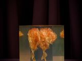 a picture of a horse in a glass box on a table
