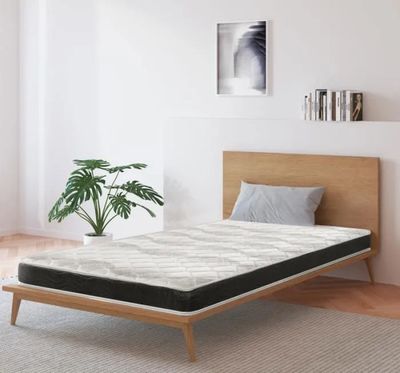 une photo d'une chambre avec un lit et une plante