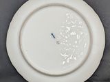 a white plate with a blue line on it on a table