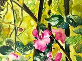 a watercolor painting of pink flowers in the woods