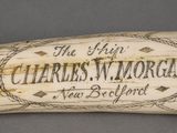 an elephant tooth with a sign on it that says charles w morgan
