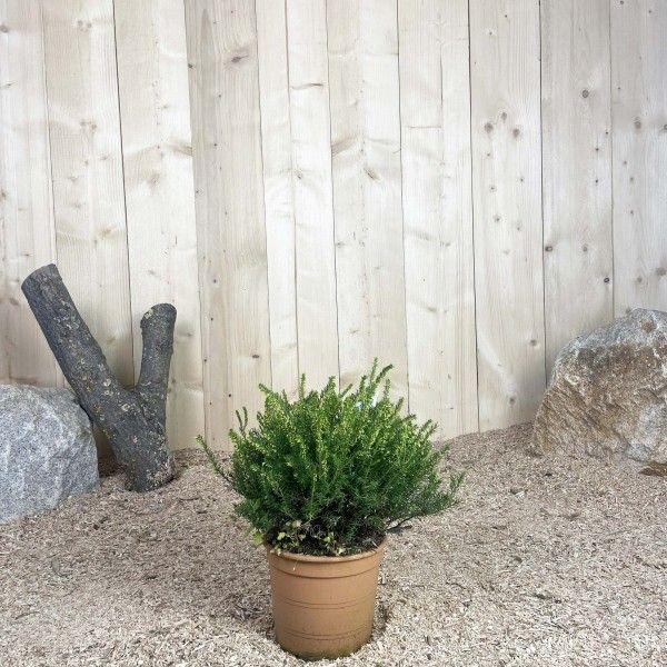 Destockage & Invendus