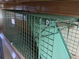 two cages that are on the shelves of a store