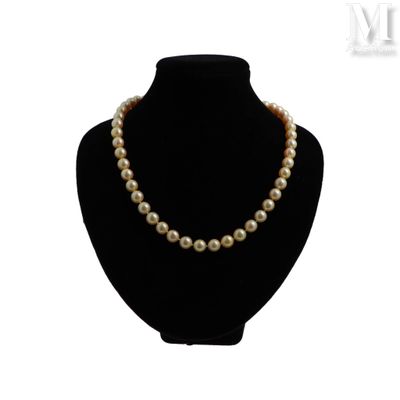 gros plan d'un collier de perles sur un mannequin