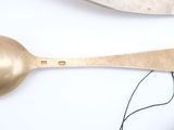 a gold spoon and a silver spoon on a white table