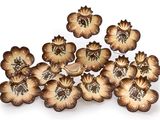 une image représentant un bouquet de fleurs sur un fond blanc