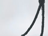 statue représentant un homme tenant une raquette de tennis, posée sur un socle en bois