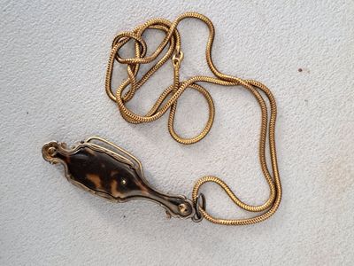 un collier composé d'une chaîne en or sur laquelle est fixée une carapace de tortue