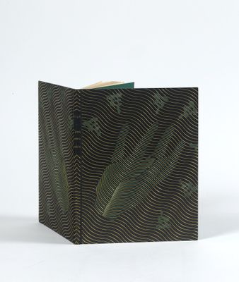 une image représentant un livre noir et vert orné d'un motif de feuilles vertes