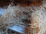 a pile of hay with a pair of scissors in it