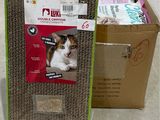 un chat assis dans une boîte en carton