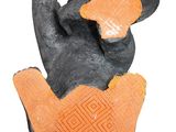 an image of a black and orange cat with its paw in the air
